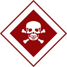 Skull And Crossbones Icon N2