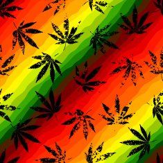 Hemp leaves N5
