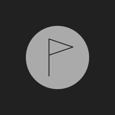 icon of flag N9