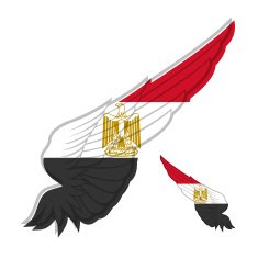flag of Egypt on abstract Wing and white background Vector