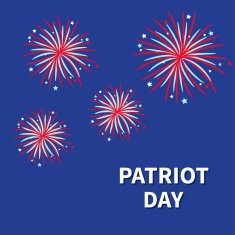 Patriot day Fireworks night sky Star and strip Flat design