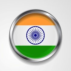 Republic of India metal button flag