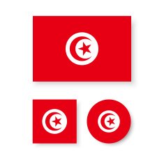 Tunisia Flag N3