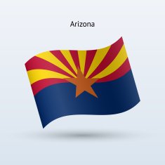 State of Arizona Flag N2