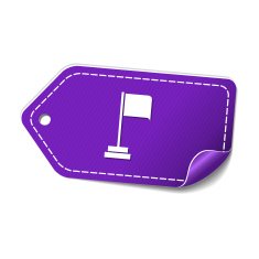 Flag Sign Violet Vector Icon Design