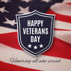 Veterans Day Background N4