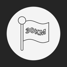 marathon flag line icon N3