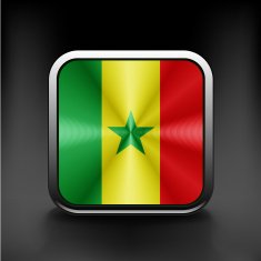 original and simple Senegal flag isolated vector
