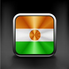 original and simple Republic of Niger flag isolated vector