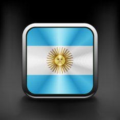 original and simple Argentina flag isolated vector