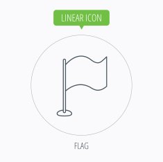 Waving flag icon Location pointer sign N12