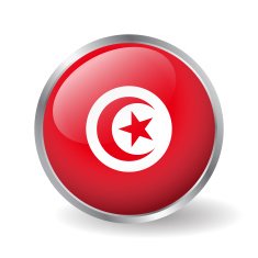 Tunisia flag button vector