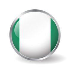 Nigeria flag button vector