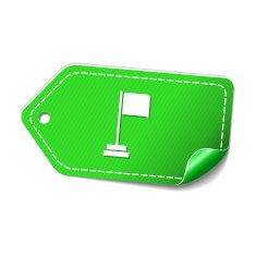 Flag Sign Green Vector Icon Design N2