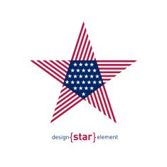 Abstract vector design element star with american flag N2