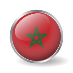 Morocco flag button vector