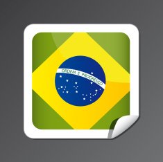 Brazilian flag button