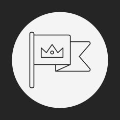 Flag line icon N6