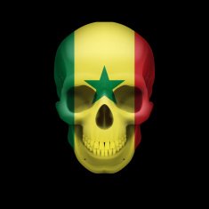 Senegalese flag skull