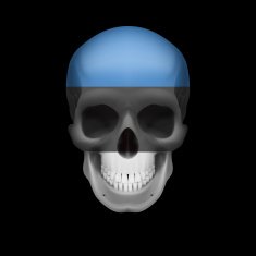 Estonian flag skull