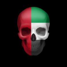 UAE flag skull