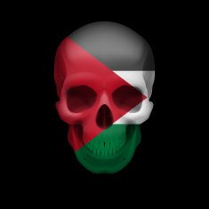 Palestinian flag skull