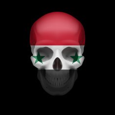 Syrian flag skull