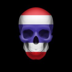 Thai flag skull