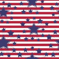 Seamless patterns with American symbols Vector N2