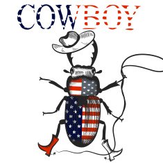 Creative background with cowboy beetle colored in USA flag rodeo N2