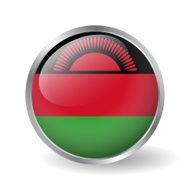 Malawi flag button vector