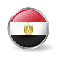 Egypt flag button vector