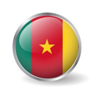 Cameroon flag button vector