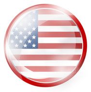 USA Round Button N4