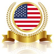 USA National Flag N2