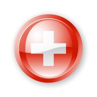 Swiss Flag Icon