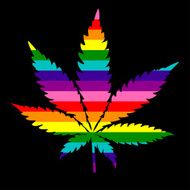 cannabis black