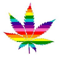 cannabis gay