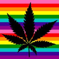cannabis black N2