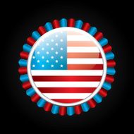 AMERICAN BAGDE AND FLAG N4