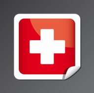 Swiss flag button