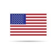 American Flag N133