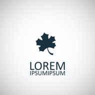 Autumn Leaf Icon N4