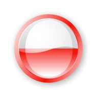 Polish Flag Icon