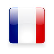 Square icon with flag of France