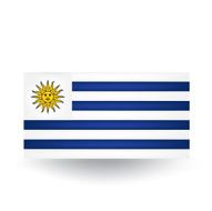 Flag of Uruguay N5