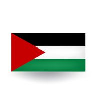 Flag of Palestine N3