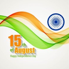 Creative Indian Independence Day concept Vector illustration N6