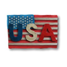 American Flag for Independence Day N2