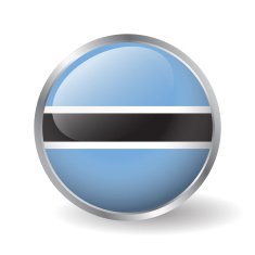 Botswana flag button vector